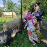 phoca_thumb_m_motlci vlet 13 Fotogalerie